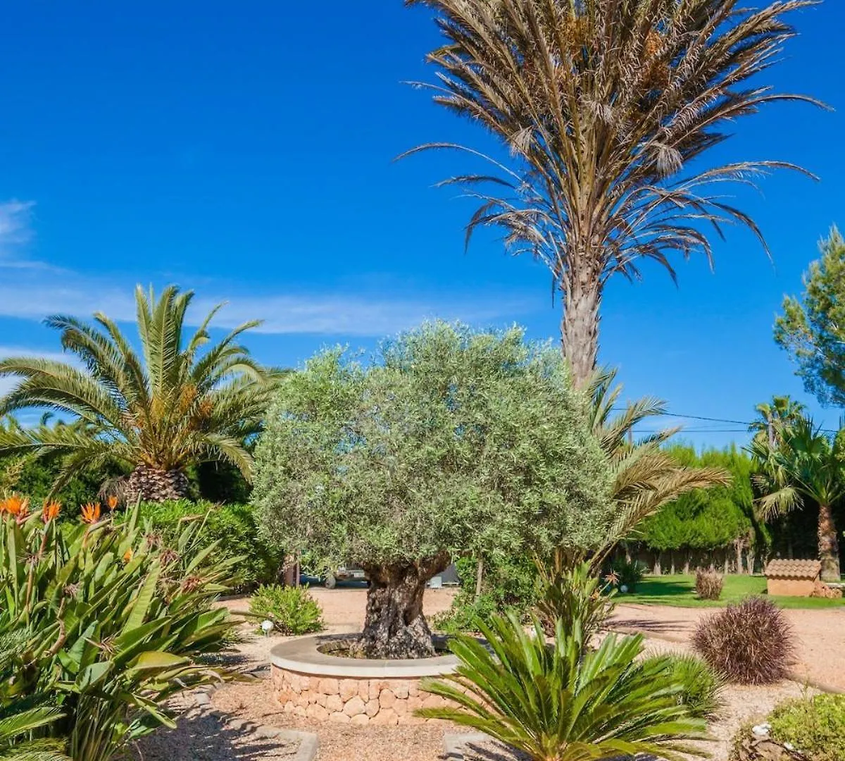 Villa Refugio Spacious Finca Pool Bbq Area And Office Llucmajor  0*, Llucmajor (Mallorca)